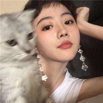 驯龙三国游戏下载